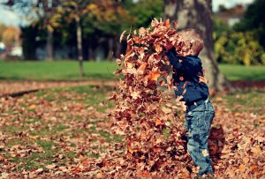 Boy playing in leaves