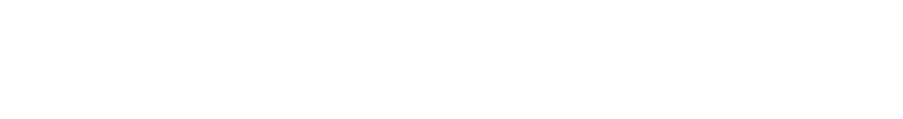 National Post Logo