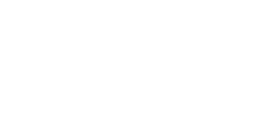 Toronto Star Logo