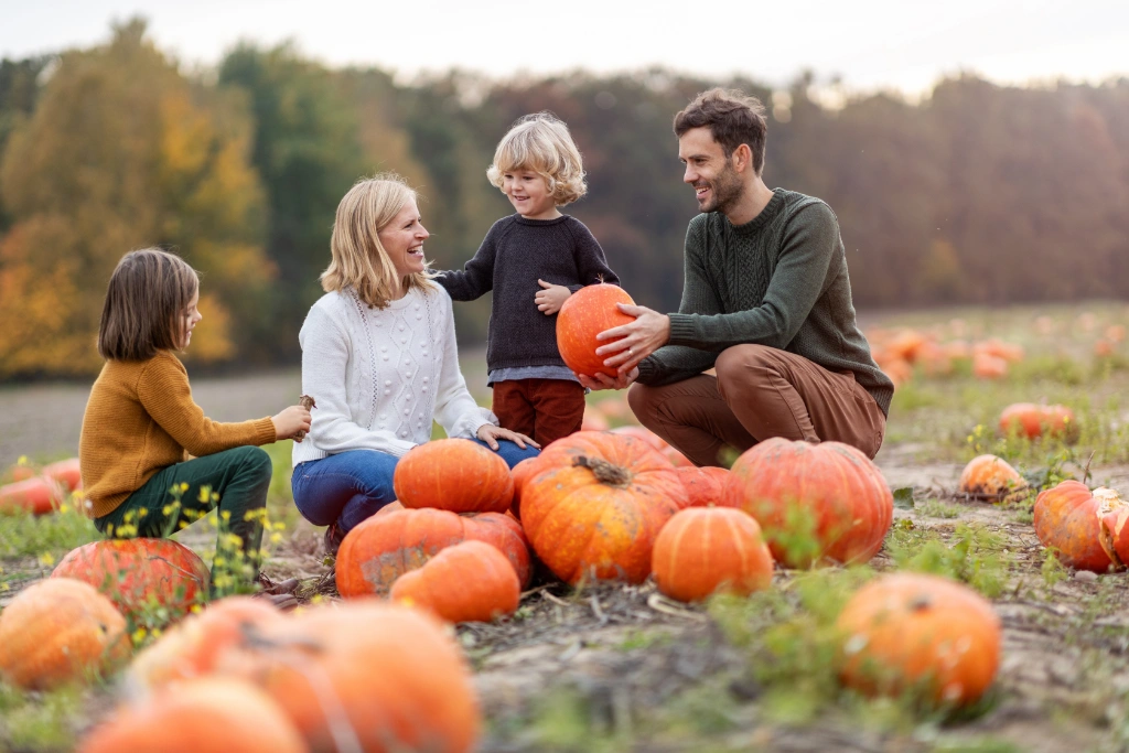 Co-Parenting Tips for Halloween: A Legal Perspective