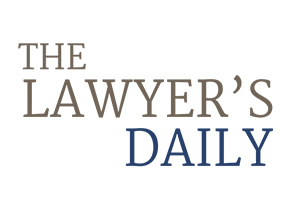Advising family law litigators, protectors and clients on domestic violence issues